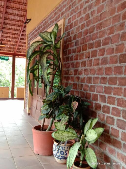 Sohana Eco Retreat Farmhouse - Karjat Chinchavli エクステリア 写真