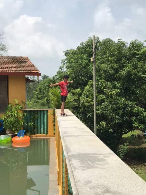 Sohana Eco Retreat Farmhouse - Karjat Chinchavli エクステリア 写真