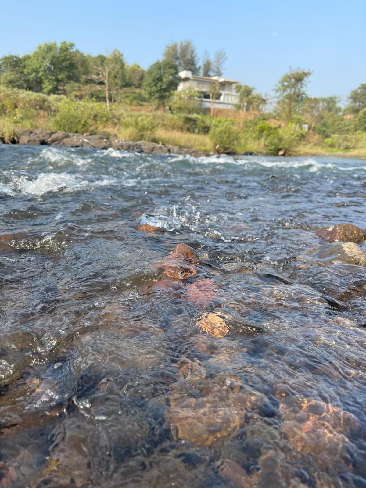 Sohana Eco Retreat Farmhouse - Karjat Chinchavli 部屋 写真